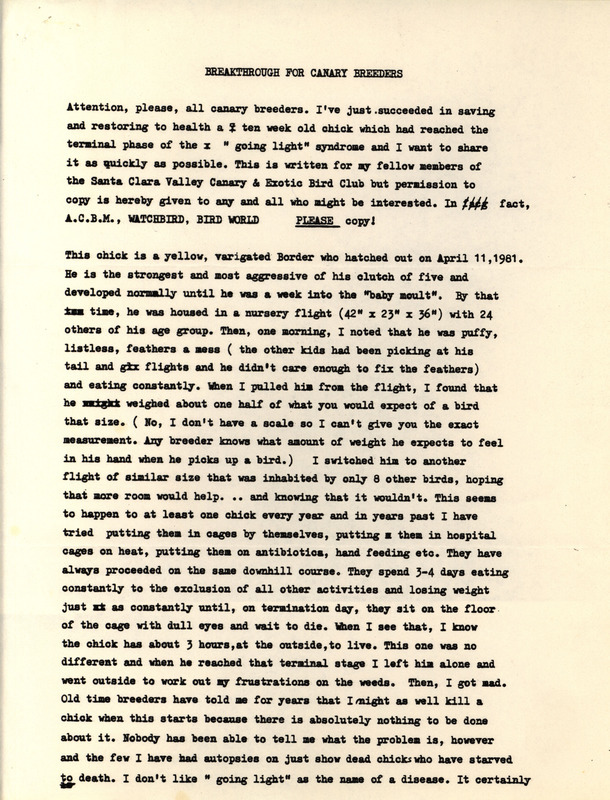 A historic report describing the medical recovery of a young chicken suffering from 'going light' syndrome.