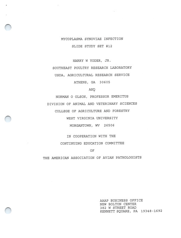 Item from a series of AAAP records containing slide study sets, which consist of slides and their accompanying texts. The slide study sets mainly cover poultry diseases and their diagnosis, but also include other topics such as biotechnology in avian medicine and careers in avian medicine.