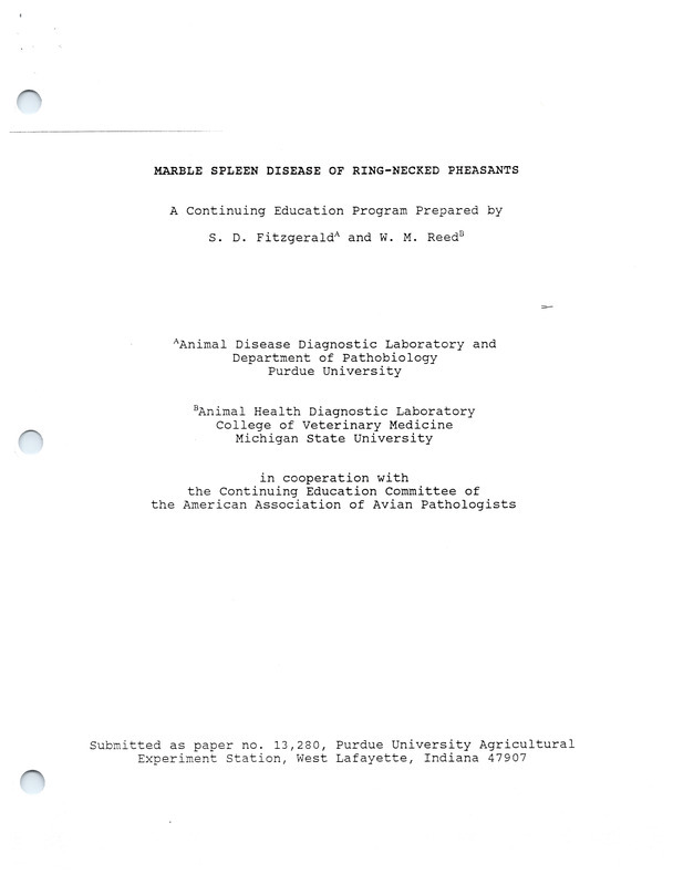 Item from a series of AAAP records containing slide study sets, which consist of slides and their accompanying texts. The slide study sets mainly cover poultry diseases and their diagnosis, but also include other topics such as biotechnology in avian medicine and careers in avian medicine.