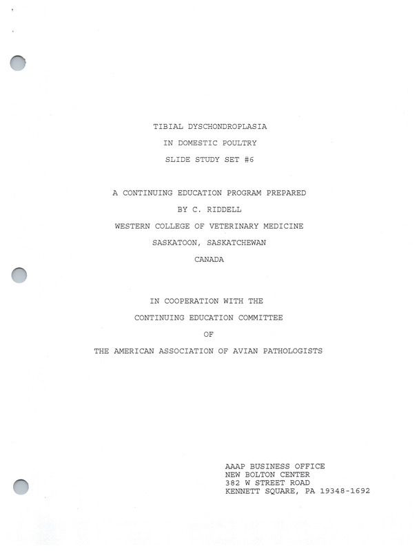 Item from a series of AAAP records containing slide study sets which consist of slides and their accompanying texts. The slide study sets mainly cover poultry diseases and their diagnosis, but also include other topics such as biotechnology in avian medicine and careers in avian medicine.