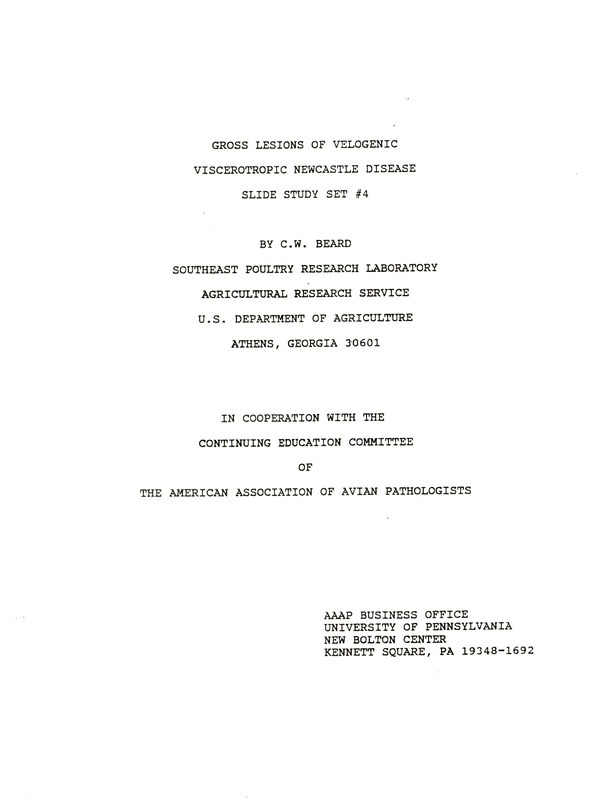 Item from a series of AAAP records containing slide study sets which consist of slides and their accompanying texts. The slide study sets mainly cover poultry diseases and their diagnosis, but also include other topics such as biotechnology in avian medicine and careers in avian medicine.