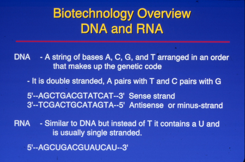 Item from a series of AAAP records containing slide study sets which consist of slides and their accompanying texts. The slide study sets mainly cover poultry diseases and their diagnosis, but also include other topics such as biotechnology in avian medicine and careers in avian medicine.