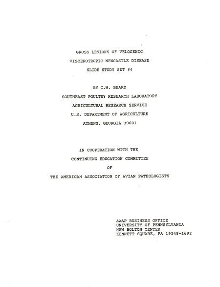Item from a series of AAAP records containing slide study sets which consist of slides and their accompanying texts. The slide study sets mainly cover poultry diseases and their diagnosis, but also include other topics such as biotechnology in avian medicine and careers in avian medicine.