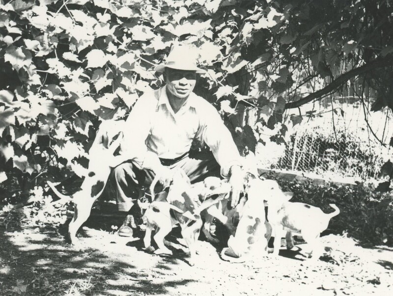 A man knelt down petting puppies.