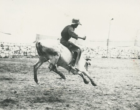 A person riding a bull at a rodeo mid air.