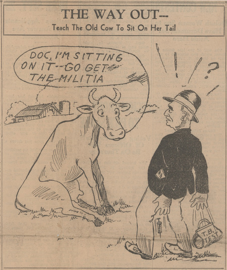 A political cartoon, cow sitting on her tail so she can not be tested for TB.