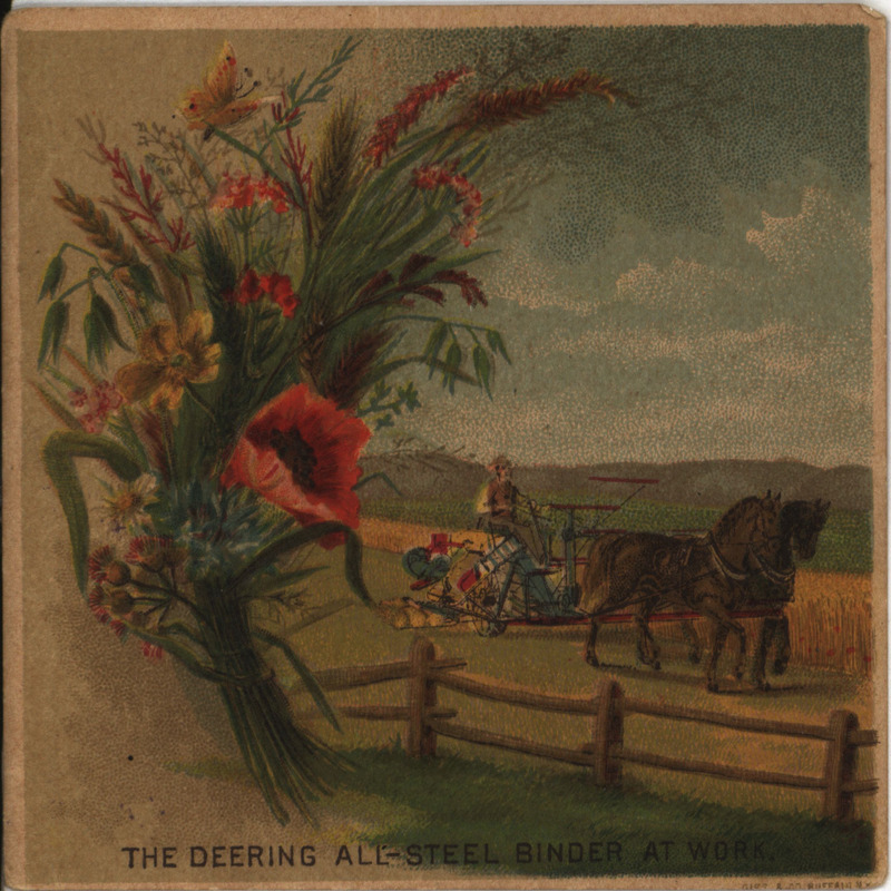 Illustrated advertisement card for Deering Harvester Company depicting the Deering All-Steel Binder working in a field.