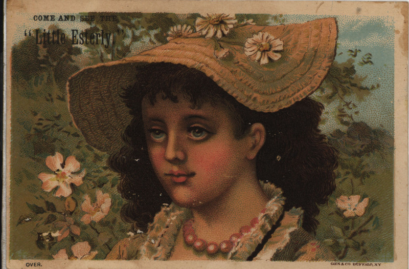 Illustrated advertisement card for a light draft binder offered by Esterly Harvesting Machine Company, depicting a girl in a field and the machine at work.