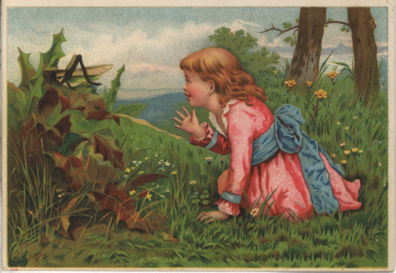 Advertisement card for the Lindsay Jr. Planter and Check Rower.