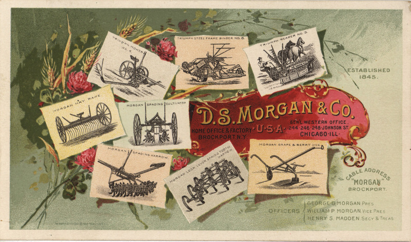 Illustrated advertisement for the D. S. Morgan and Company.