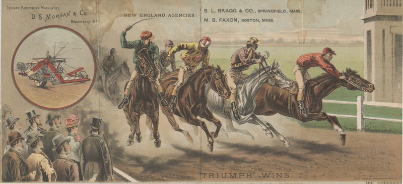 D. S. Morgan and Company Triumph Harvesting Machinery catalog