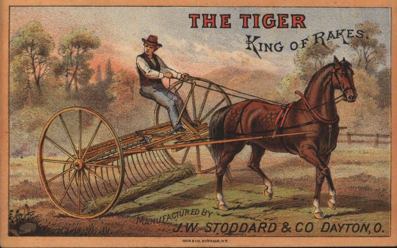 Illustrated card advertising the Tiger rake produced by the Stoddard Manufacturing Company.
