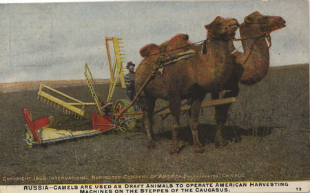 Illustrated postcard advertising the presence of the International Harvester Company of America in Russia.