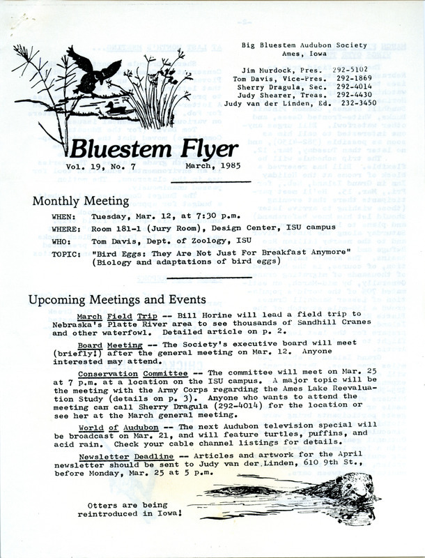 The newsletter of the Big Bluestem Audubon Society, Volume 19, Number 7, March 1985. Highlights of the newsletter include details on upcoming meetings and events, information about a field trip to Nebraska to view migrating Sandhill Cranes, notes on observations of late winter birds and early spring arrivals, and updates on conservation efforts and environmental issues.