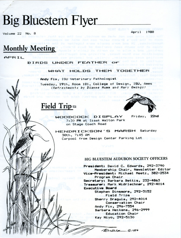 The newsletter of the Big Bluestem Audubon Society, Volume 22, Number 8, April 1988. Highlights of the newsletter include a report on a March waterfowl field trip to Bay's Branch, a list of future events including the topic and speaker, and the 1988-1989 slate of society officers to be voted on at the official annual meeting in May.