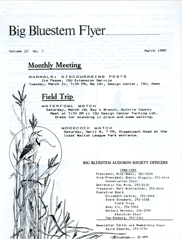 The newsletter of the Big Bluestem Audubon Society, Volume 23, Number 7, March 1989. Highlights of the newsletter include the announcement of waterfowl and Woodcock field trips, details on acid rain samples, a report on an Owl walk field trip, and a calendar of events from April through September 1989.