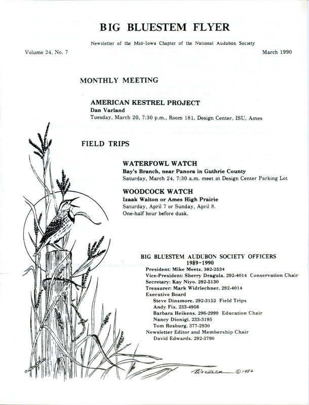 The newsletter of the Big Bluestem Audubon Society, Volume 24, Number 7, March 1990. Highlights of the newsletter include an action editorial by Mark Widrlechner regarding major renovations at Ames Homewood Golf Course which would damage several acres of upland oak forest, a report of an Eagle watch at Lake Red Rock, a mention of special recognition for the society's newsletter received from the West Central Region Audubon Council, and an Owl walk report.