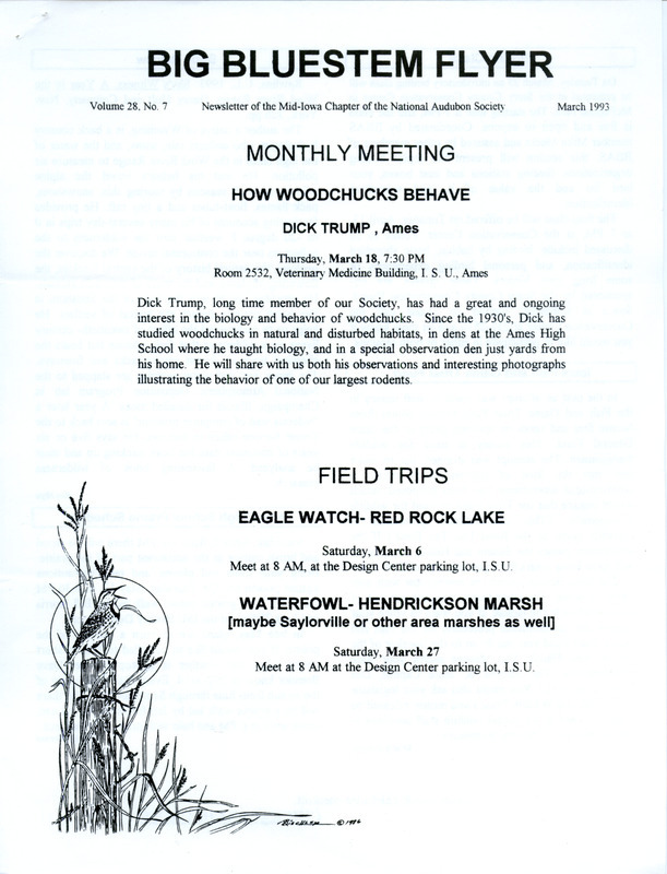 The newsletter of the Big Bluestem Audubon Society, Volume 28, Number 7, March 1993. Highlights of the newsletter include information on topics covered at a birding class, a call for society members to voice support for constitutional protection of Iowa's Fish and Game Trust Fund, a report of an Owl field trip, and an article from Maridel Jackson recalling Texas travels and bird sightings.