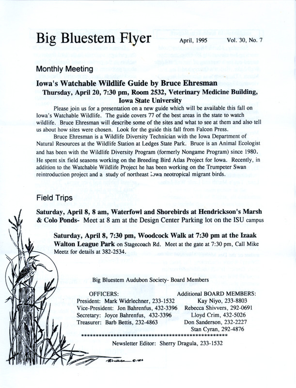 The newsletter of the Big Bluestem Audubon Society, Volume 30, Number 7, April 1995. Highlights of the newsletter include details of the next program "Iowa's Watchable Wildlife Guide" presented by Bruce Ehresman, a report of a March field trip in which several species of waterfowl were observed, and a call for society members to forward uncommon or out-of season bird sightings to Stephen J. Dinsmore for a compilation, "The Birds of Story County.".