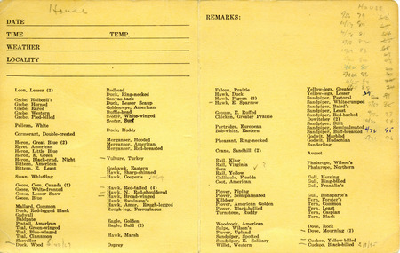 Field card of birds observed by Woodward H. Brown.