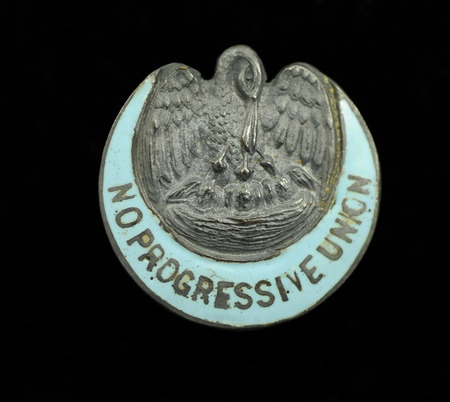 Mostly round silver pin with an image of a mother bird feeding her young embossed on it. Partially around the side of the pin in the shape of a crescent is a light blue inlay with "N O Progressive Union" inscribed in silver. At the request of the New Orleans Progressive Union and others the 35th Annual Convention of the National American Woman Suffrage Association was held in New Orleans on March 15-25, 1903.
