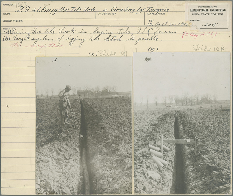 Using the tile hook in laying tile, Iowa State College farm. Target system of digging tile ditch to grade. April 14, 1904.