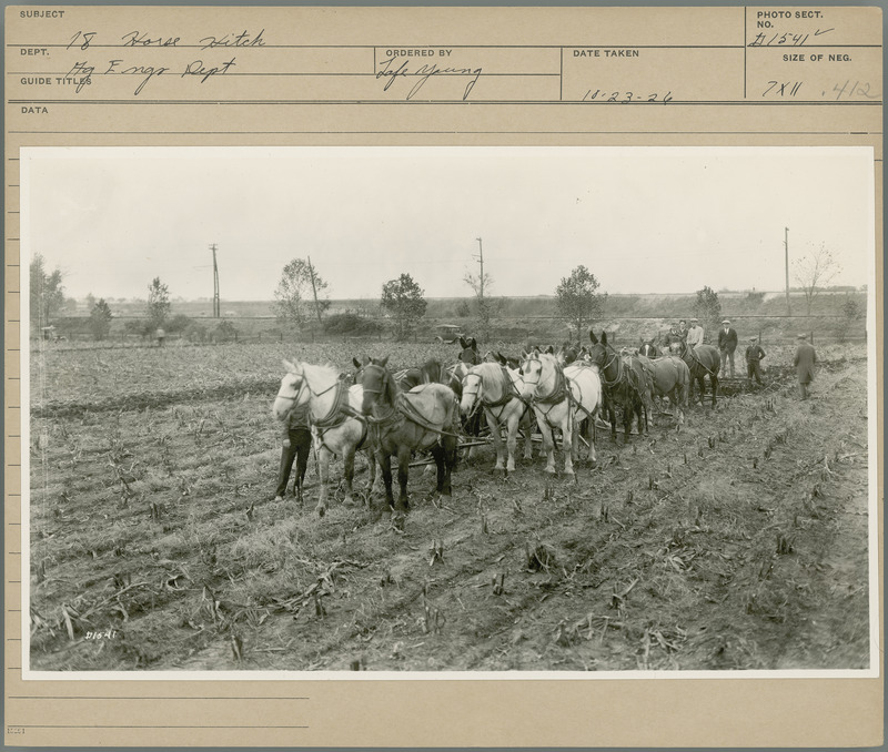 18 Horse Hitch. Agricultural Engineering Department. Ordered by Lafe Young. 10-23-26.