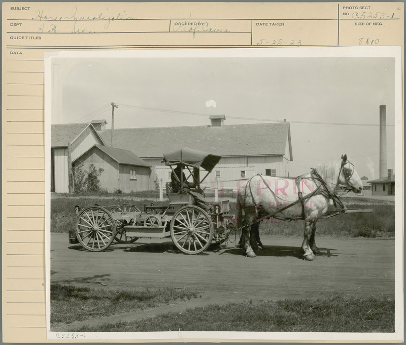 Horse Investigation. Ordered by Professor Caine, 5-25-23.
