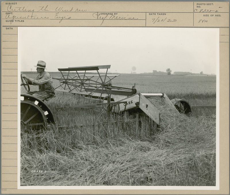 Cutting the wind row. Agricultural Engineering Department. Ordered by Professor Mervine. 7/22/29.