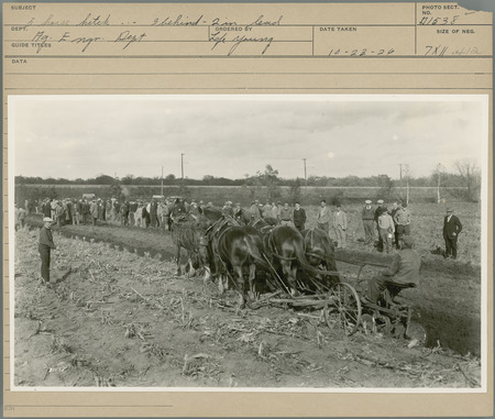Five horse hitch, three behind, two in lead. Agricultural Engineering Department. Ordered by Lafe Young. 10-23-26.
