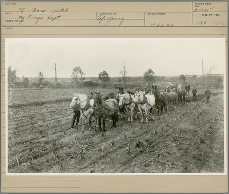 18 Horse Hitch. Agricultural Engineering Department. Ordered by Lafe Young. 10-23-26.