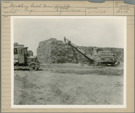 Stacking baled corn stalks. Agricultural Engineering Department. Ordered by Professor Collins. 4/30/28.