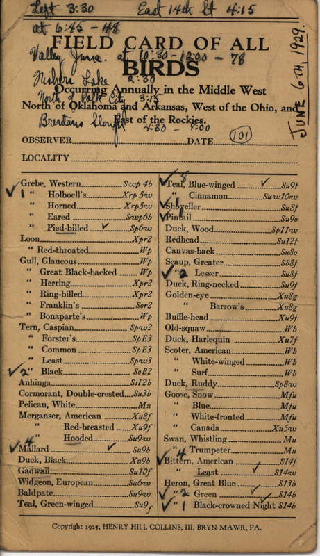 Bird checklist dated June 6, 1929. A checklist of birds sighted by Philip DuMont annotated with numbers sighted and locations visited.