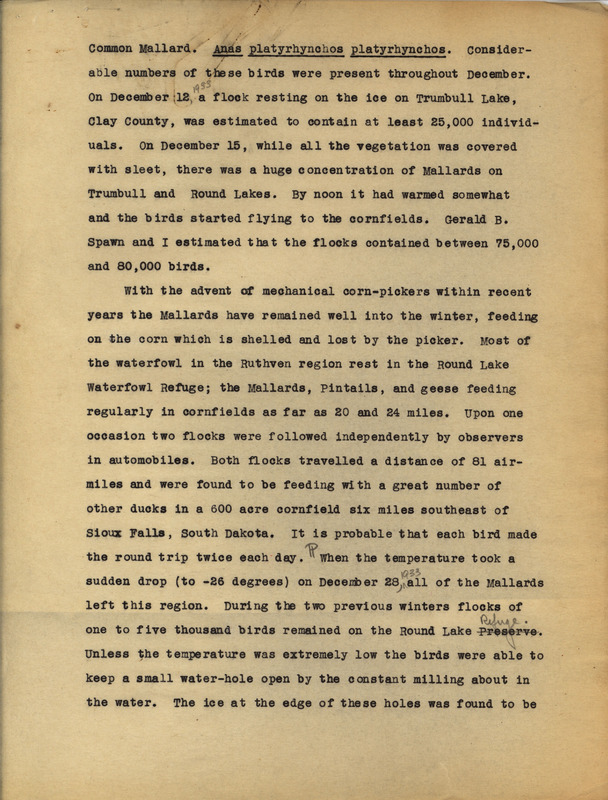 Undated research notes. A couple of bird lists giving the common name for the species or subspecies along with the scientific name, providing a description of specimens and sightings from 1933 or 1934, and giving range and distribution details.
