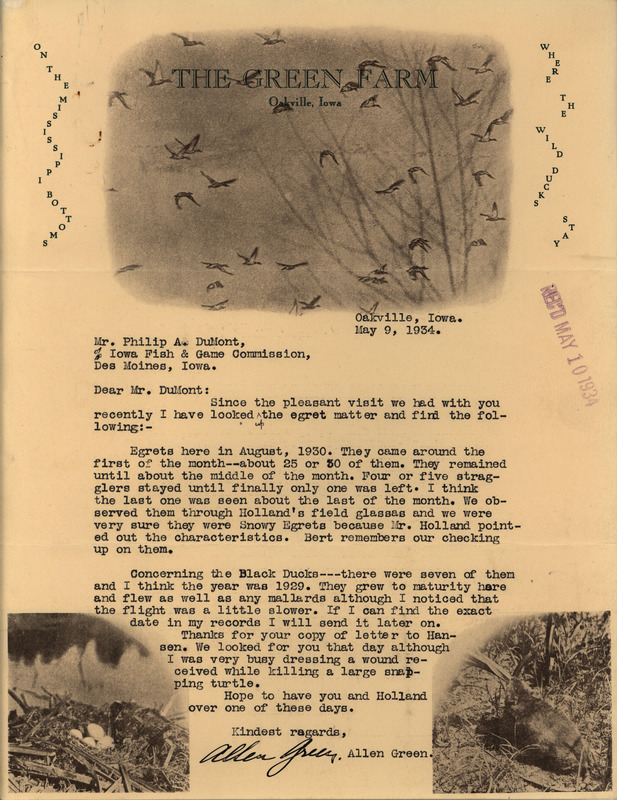 Letter from Allen Green to Philip DuMont dated May 9, 1934. In this letter Green reports sighting 25 to 30 Snowy Egrets in August 1930 and seven Black Ducks in 1929.