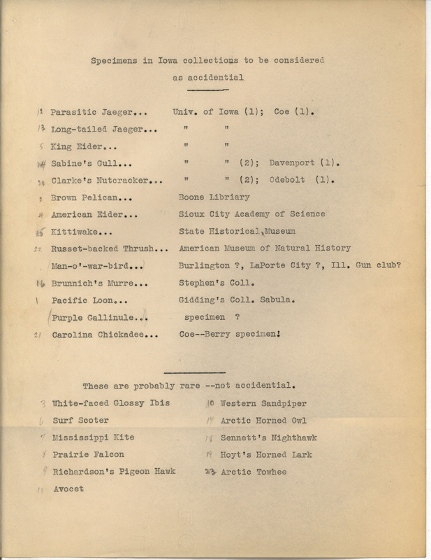 Undated research notes. This list contains species considered either accidental or rare in the state of Iowa.