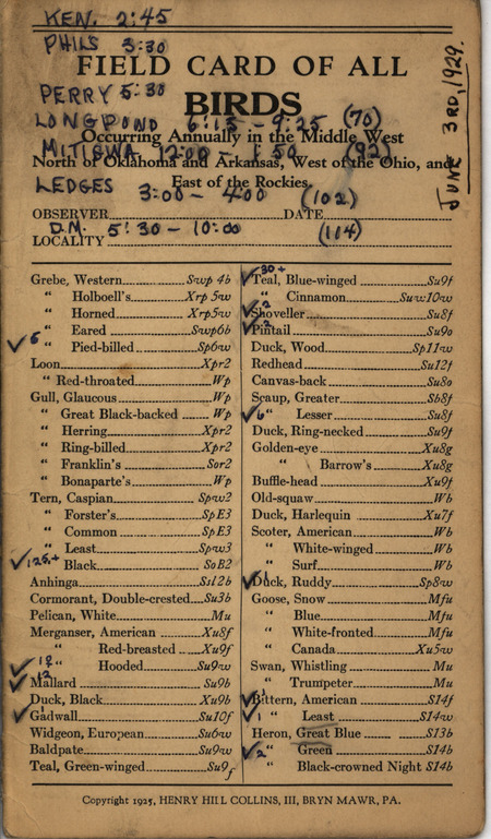 Bird checklist dated June 3, 1929. A checklist of birds sighted by Philip DuMont annotated with numbers sighted and locations visited.