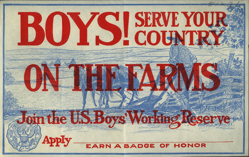 An advertisement encouraging boys to join the Boys' Working Reserve during World War I.
