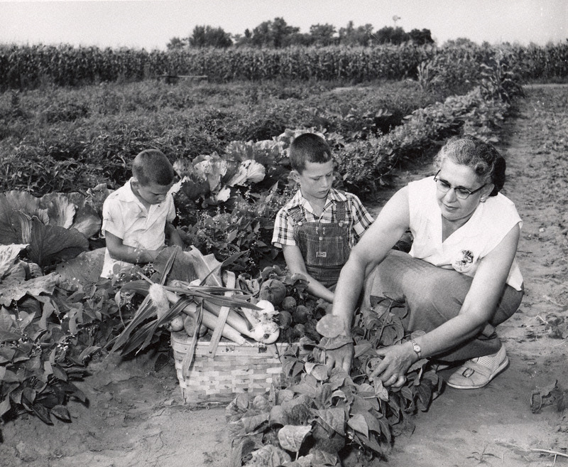 Photograph of two children and a woman picking crops in a farm garden in Wright County, Iowa.