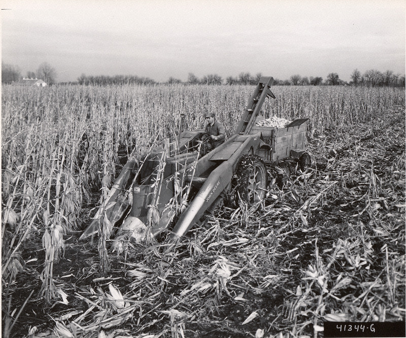Photograph of a farmer on his combine harvesting corn.
