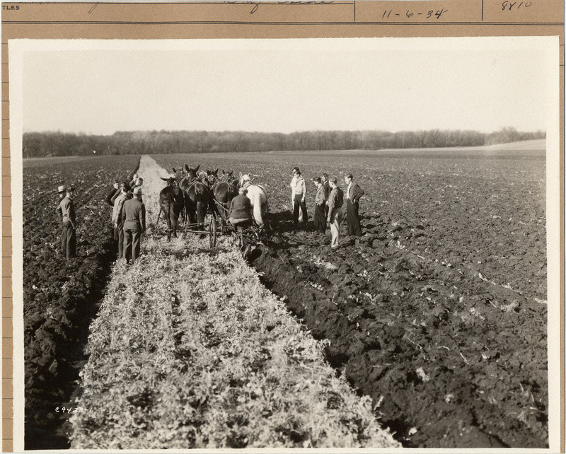 Photograph of a group of men watching a farmer with his horses and mules plowing his field.