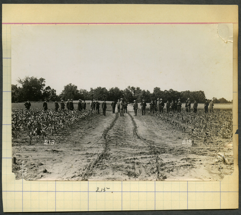 Short course pictures. Perry G. Holden (1907-08?) #215.