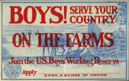 An advertisement encouraging boys to join the Boys' Working Reserve during World War I.