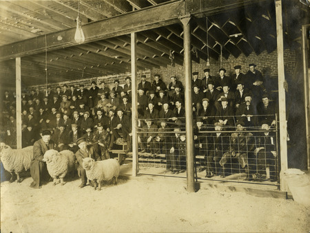 Local Livestock short course, Waukon, Iowa, 1911;Local short course students study cattle, hogs, horses, sheep and their feeding and management.
