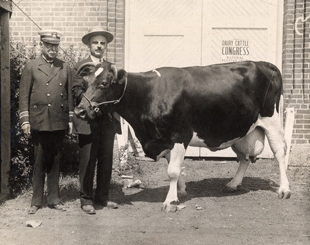 Photograph of a farmer with his dairy cow, another man to his right, a sign reading "Dairy Cattle Congress: National Belgian Show" on the door behind them. Taken in 1929.