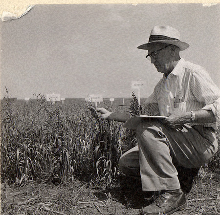 Photograph with a caption that reads: "Ed Dyas showing Burnett oats under an identifying label somewhere in west Iowa." Taken in 1956.