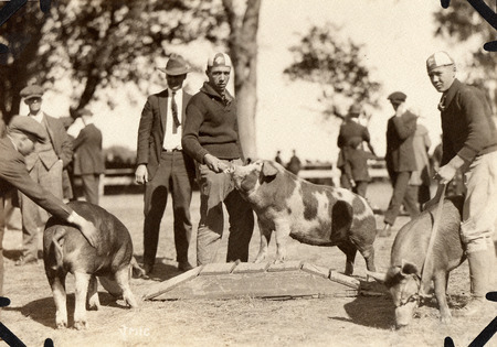 Photograph of Donald Rhodes in the center with his pig, other boys to the left and right of him with their pigs, all at the Southern Iowa Fair in 1921.