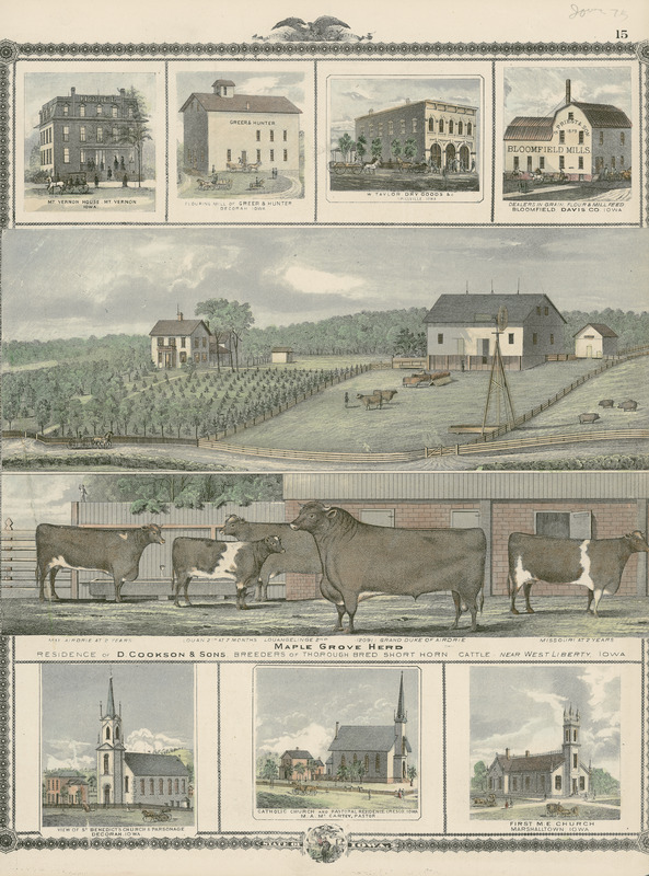 Illustrations of Mt. Vernon House, Mt. Vernon; Flouring Mill of Greer & Hunter, Decorah; W. Taylor Dry Goods & Co., Spillville; G. Priest and Son, Bloomfield Mills, Dealers in Grain, Flour & Mill Feed, Bloomfield, Davis County; Maple Grove Herd, residence of D. Cookson and Sons, "Breeders of Thorough Bred Short Horn Cattle," near West Liberty; St. Benedict's Church and Parsonage, Decorah; Catholic Church and Pastoral Residence, Cresco, M. A. McCarty, Pastor; and First Methodist Episcopal Church, Marshalltown. Published in Andreas, A. T., Illustrated Historical Atlas of the State of Iowa, Chicago: Andreas Atlas Co., 1875, pages 15-16.