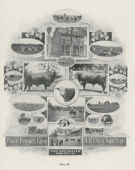 Illustration of Mount Prospect Farm, A. R. Ohl and Sons, proprietors, southeast of Iowa City, Iowa. Published in M. (Melchior) Huebinger, Atlas of the State of Iowa, Davenport, Iowa: Iowa Publishing Co., Inc., 1904, plates 30-31.