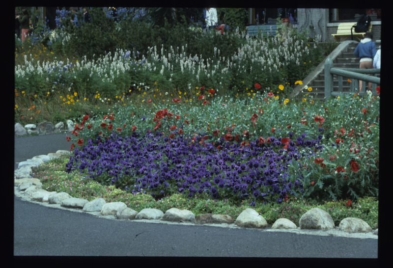 Old Horticultural Gardens